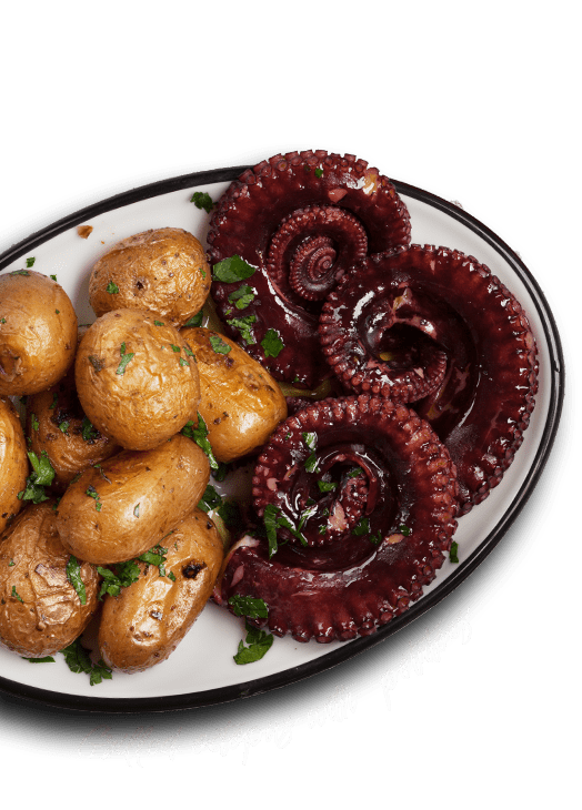 Grilled octopus Hvar