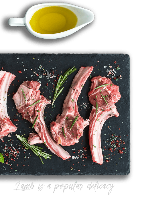 Cooking class in Konavle