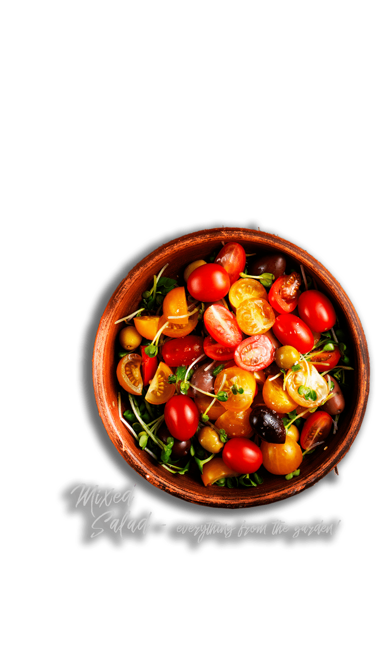 Mixed salad, Konavle cooking class