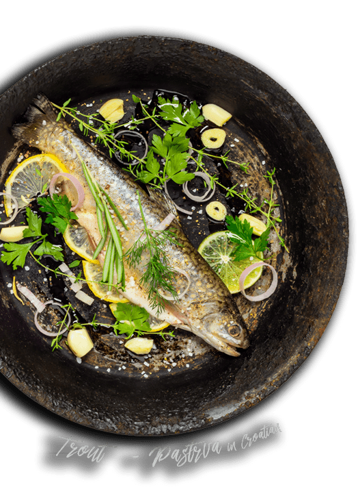 wild table cooking, trout fish