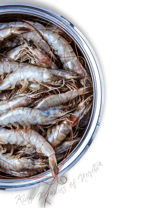 Meal served on Dubrovnik wine walk