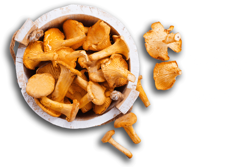 Chanterelles, mushrooms