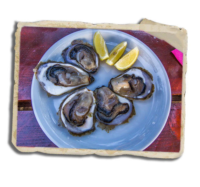 Culinary tour for big groups, Ston oysters