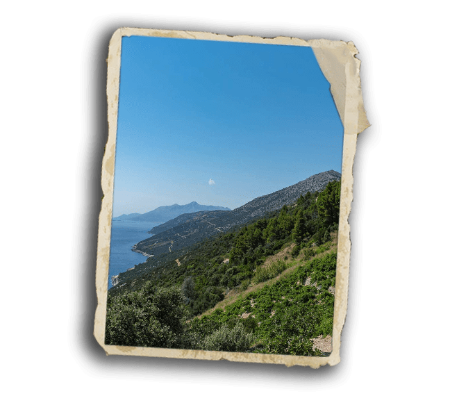 Wine tour of Pelješac, Pelješac wines